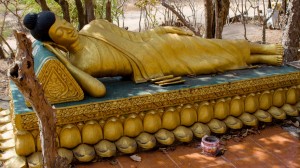 Ležící Buddha v lesíku